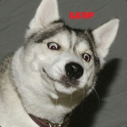 Linus - steam id 76561197961207425