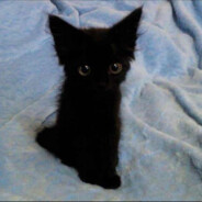 Самый отвратительный король