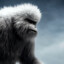 WarmYeti