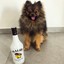 Aphan_ Malibu