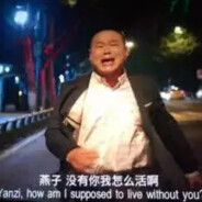 燕子你走了我怎么活呀