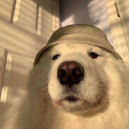 smako. Steam avatar