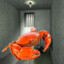 Incarcerated Crab