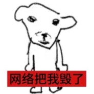 歪？我是龟龟！