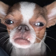 皮蛋汤没有瓦罐