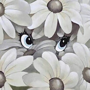 东南西北打够二十四圈