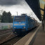 schreiraupe