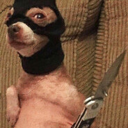 SickSickSickSickSickSickSickSiKO