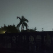 说留下的人早已远走