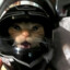 Gato Motoboy