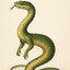 TwoLegSnake