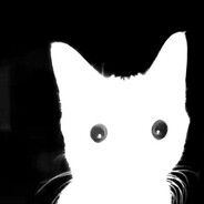 silryd's avatar