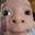 idlekyle