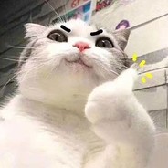 不要跟我嘻嘻哈哈