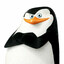 SKIPPER