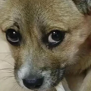 喔瘪卡壳就七布那那