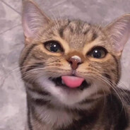 bbykitty