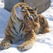 DJ ДИСИКТИКОН