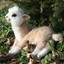 BabyLlama