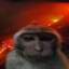 absolude skyva7