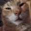 meowmeow
