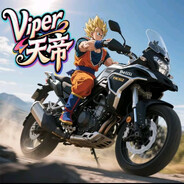 Viper丶天帝
