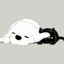 Aqin112