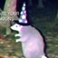 Viera_The_Magic_Opossum