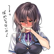 [SANA]Stewartia pseudocamellia