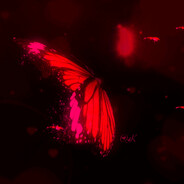 🦋butterfly ⇆ Trade skins