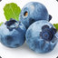 BlueBerryParty