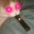 420hpWannabe avatar