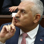 Yinali Bıldırım