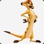 TIMON