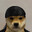 Dogga