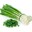 Green Onions