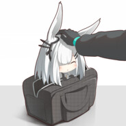 白兔子...还能再见面吗