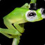 Sir Froggo