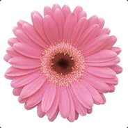 thy - steam id 76561198248944400