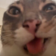 [FCSECT]БогНюрсы