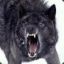 XxWolfOfInsanityxX