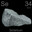 Selenium