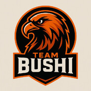 !13 - steam id 76561199113790745