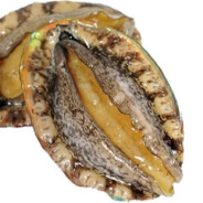 手把爷（练气期）