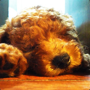 告白倒过来是皓