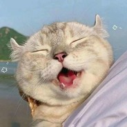 她的牙套有卷毛