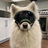 电锯小🐶波奇塔