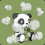 Albizzia