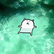 poppy avatar