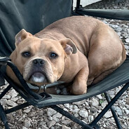 Mario strike premium.llg.ro